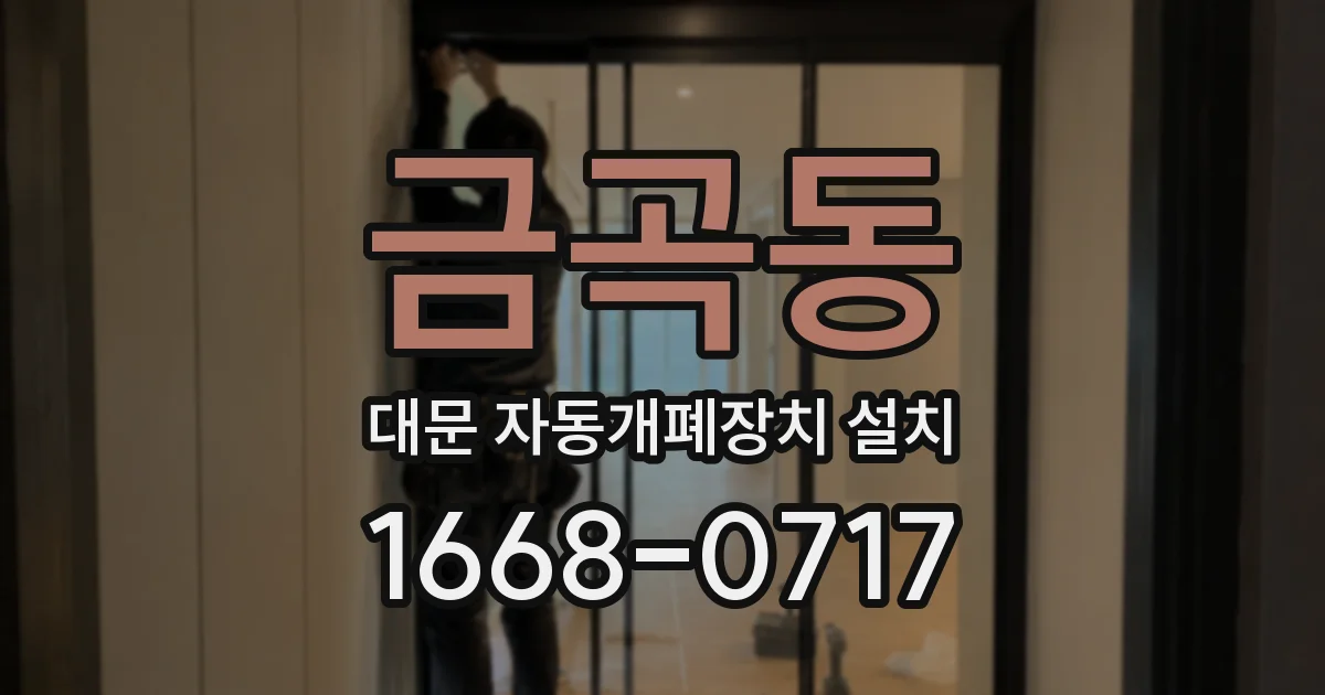 금곡동 대문 자동개폐장치 설치