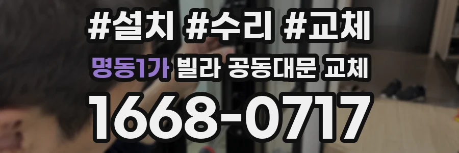 명동1가 빌라 공동대문 교체