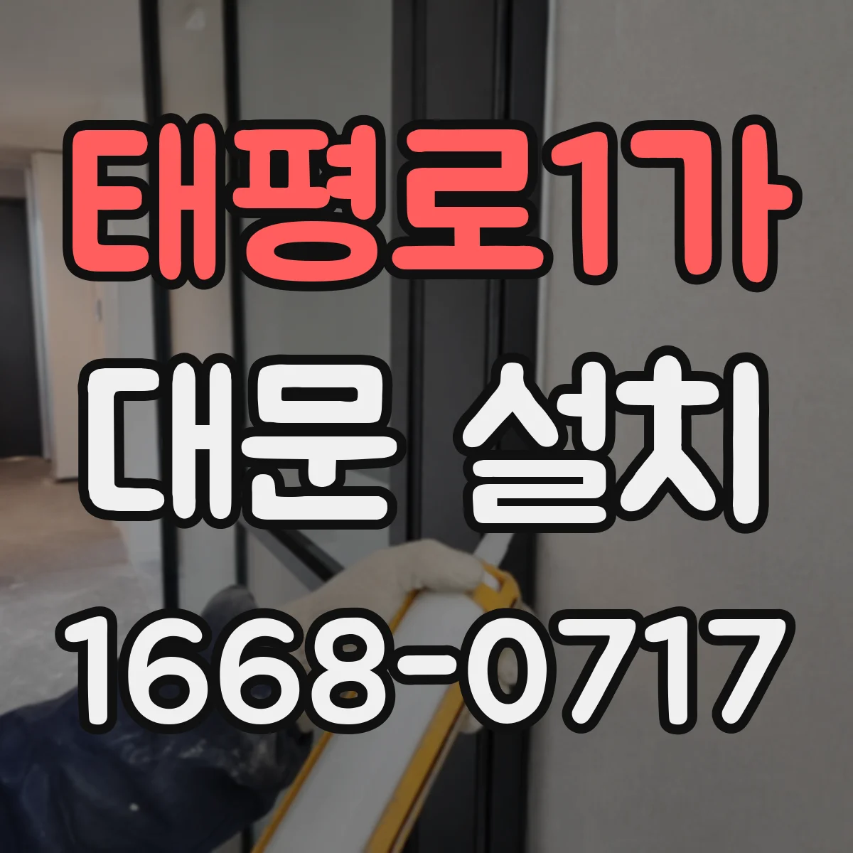 태평로1가 대문 설치