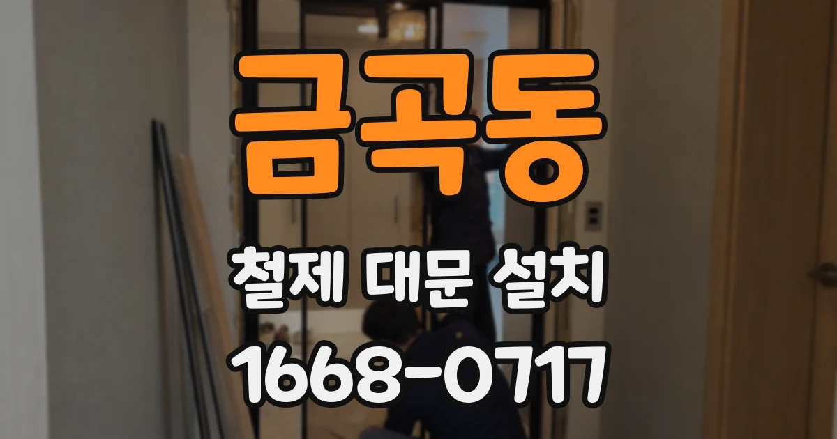 금곡동 철제 대문 설치