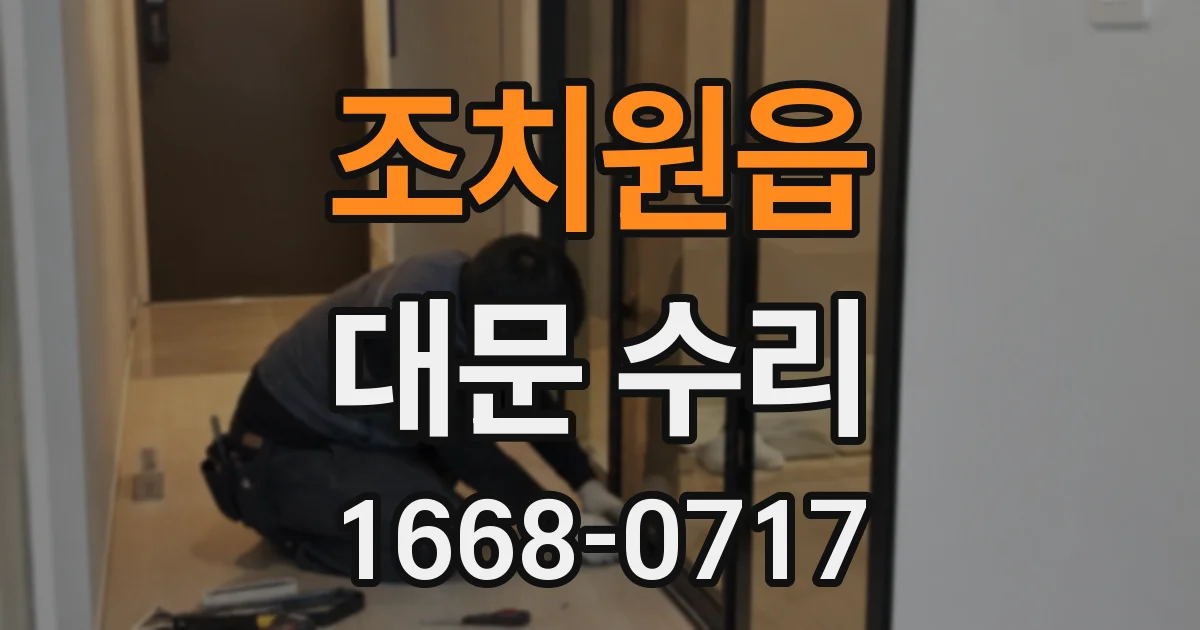 조치원읍 대문 수리