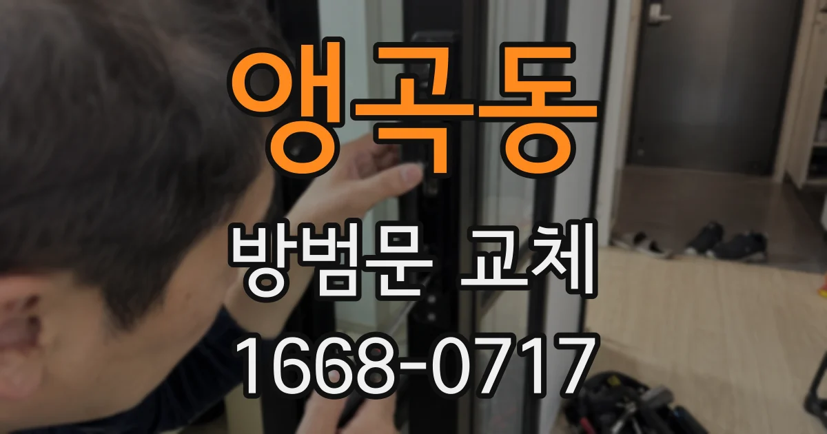 앵곡동 방범문 교체