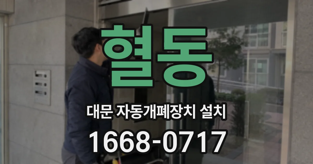 혈동 대문 자동개폐장치 설치