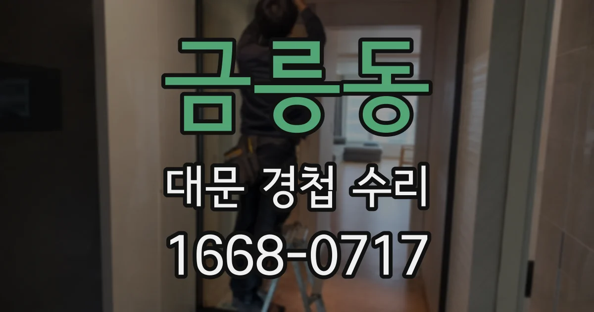 금릉동 대문 경첩 수리