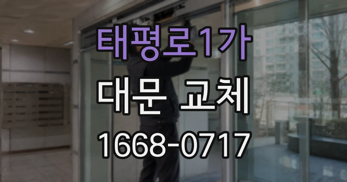 태평로1가 대문 교체