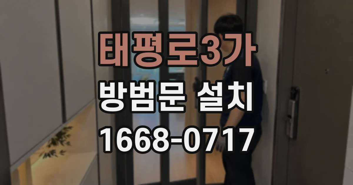 태평로3가 방범문 설치