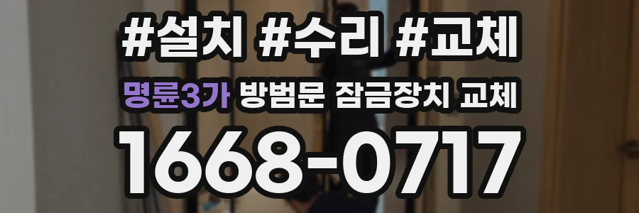 명륜3가 방범문 잠금장치 교체