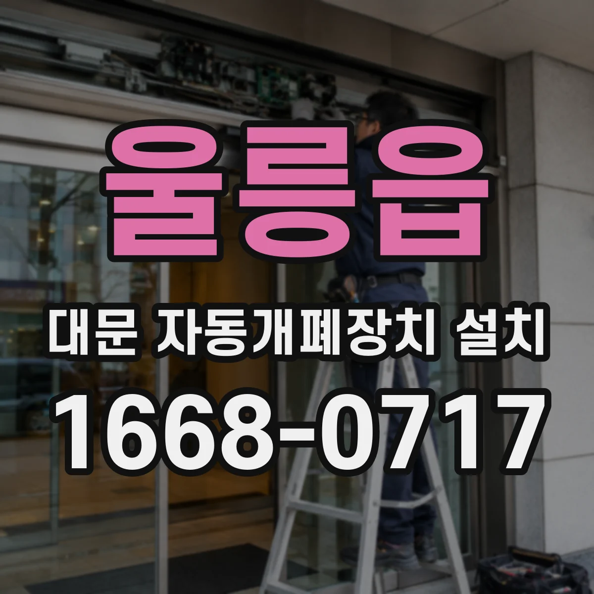 울릉읍 대문 자동개폐장치 설치