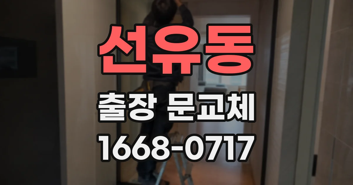 선유동 출장 문교체