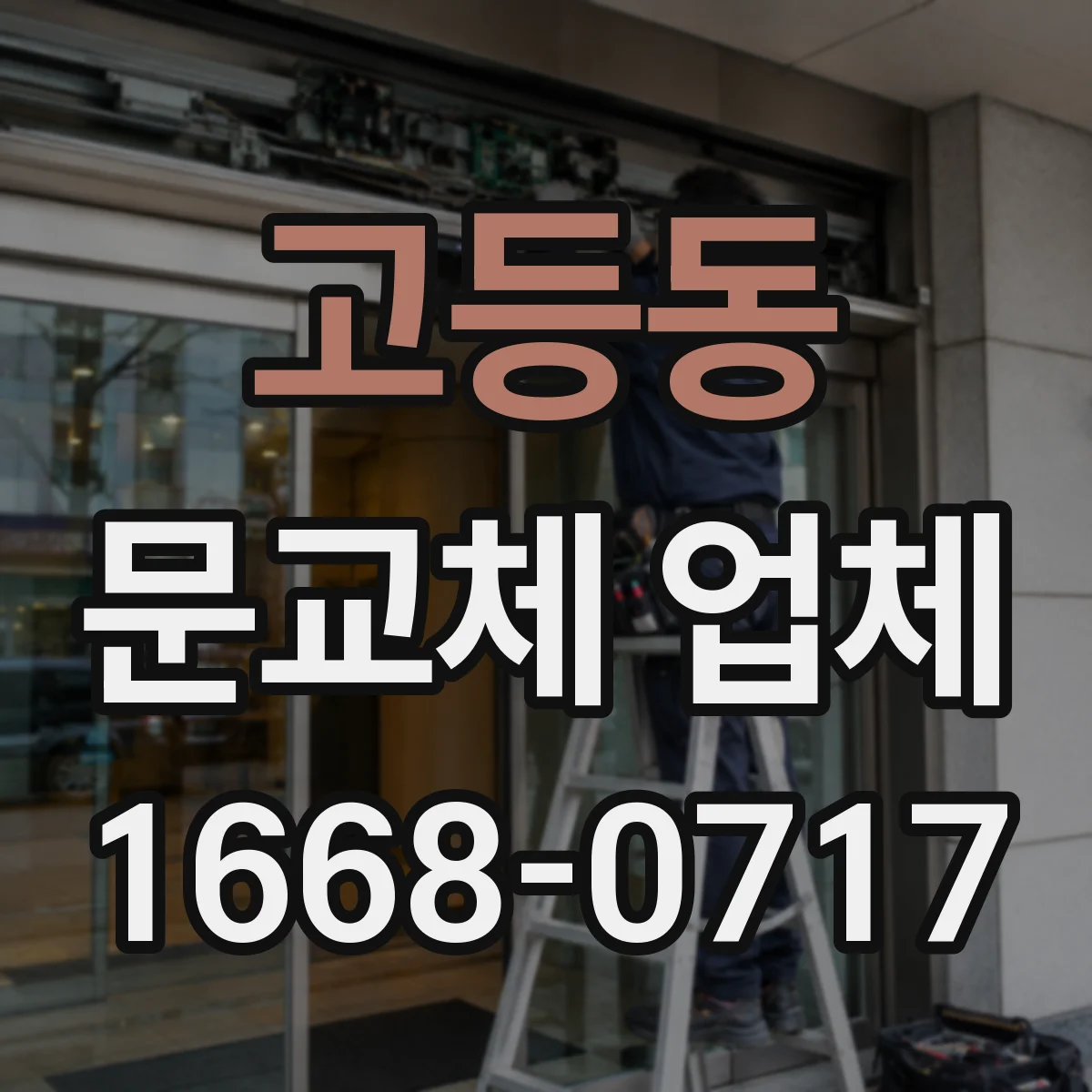 고등동 문교체 업체