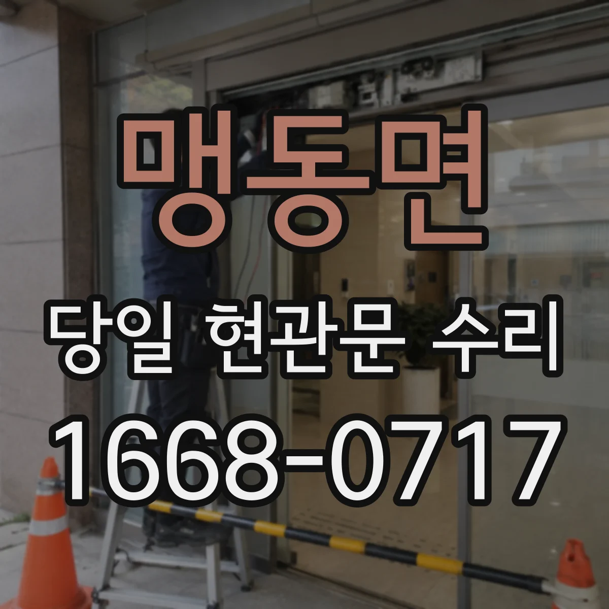 맹동면 당일 현관문 수리