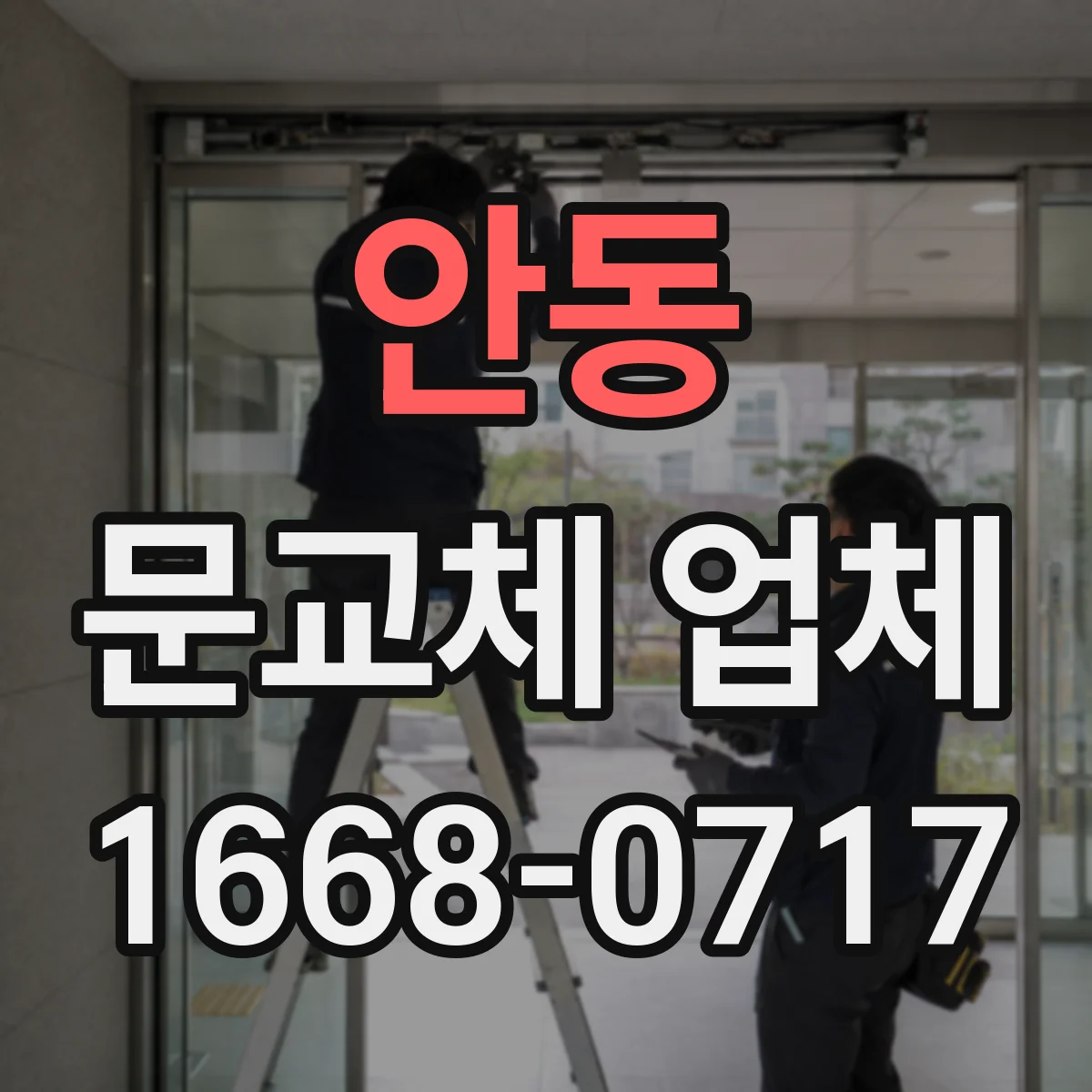 안동 문교체 업체