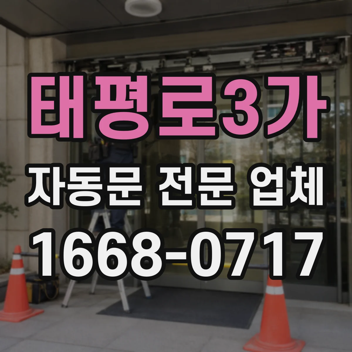 태평로3가 자동문 전문 업체