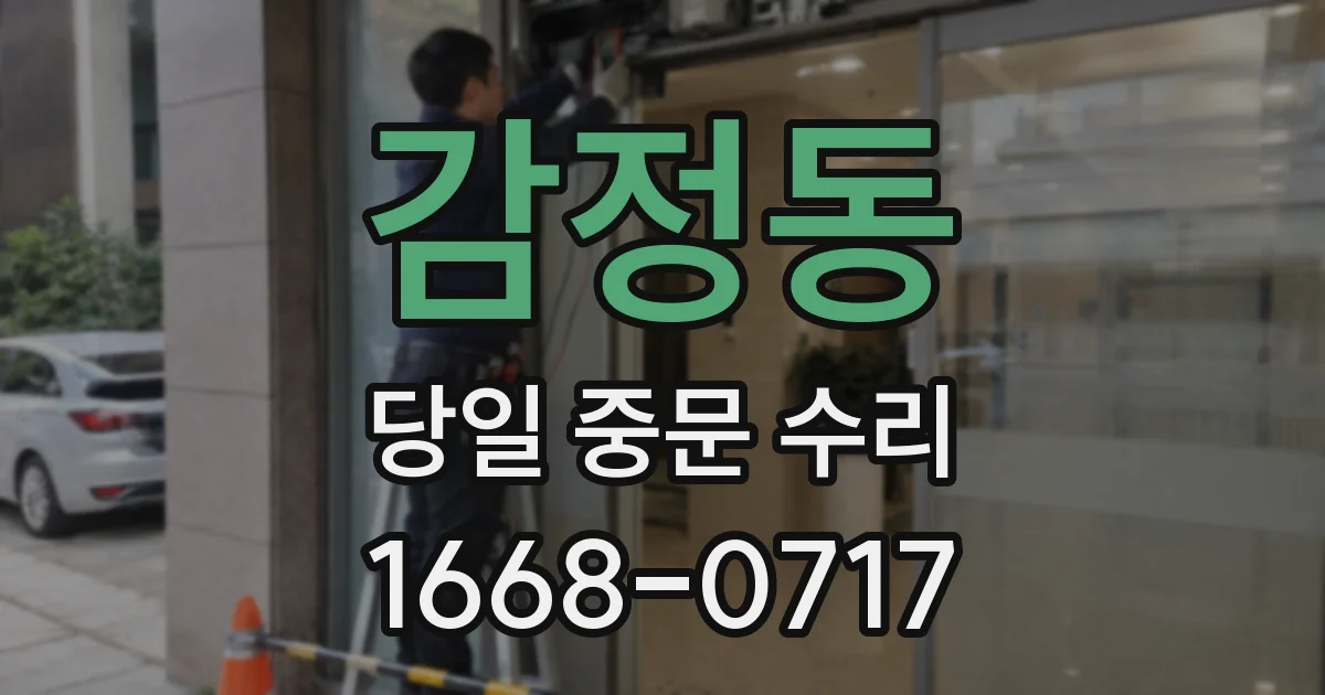 감정동 당일 중문 수리