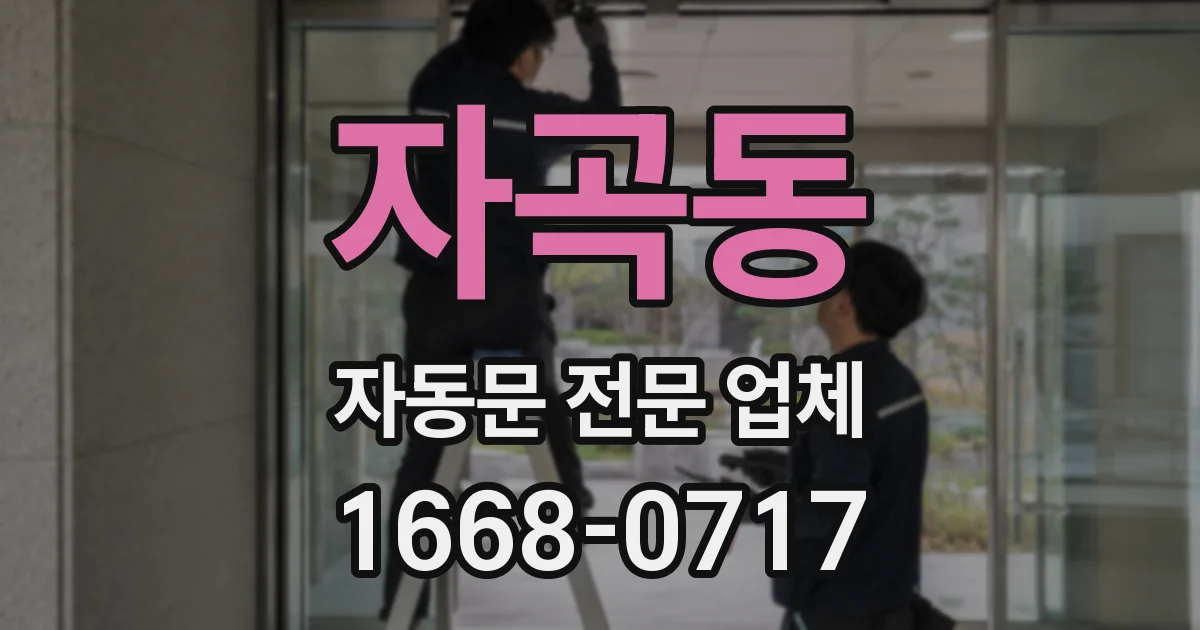 자곡동 자동문 전문 업체