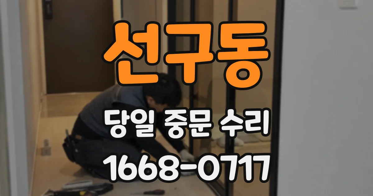 선구동 당일 중문 수리