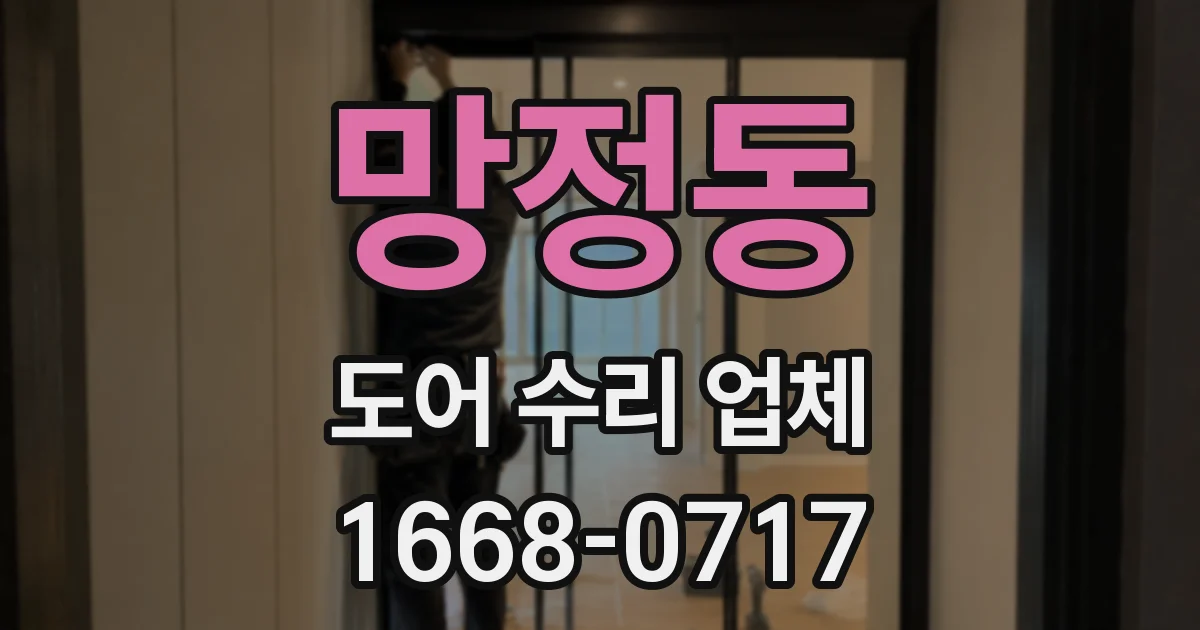 망정동 도어 수리 업체