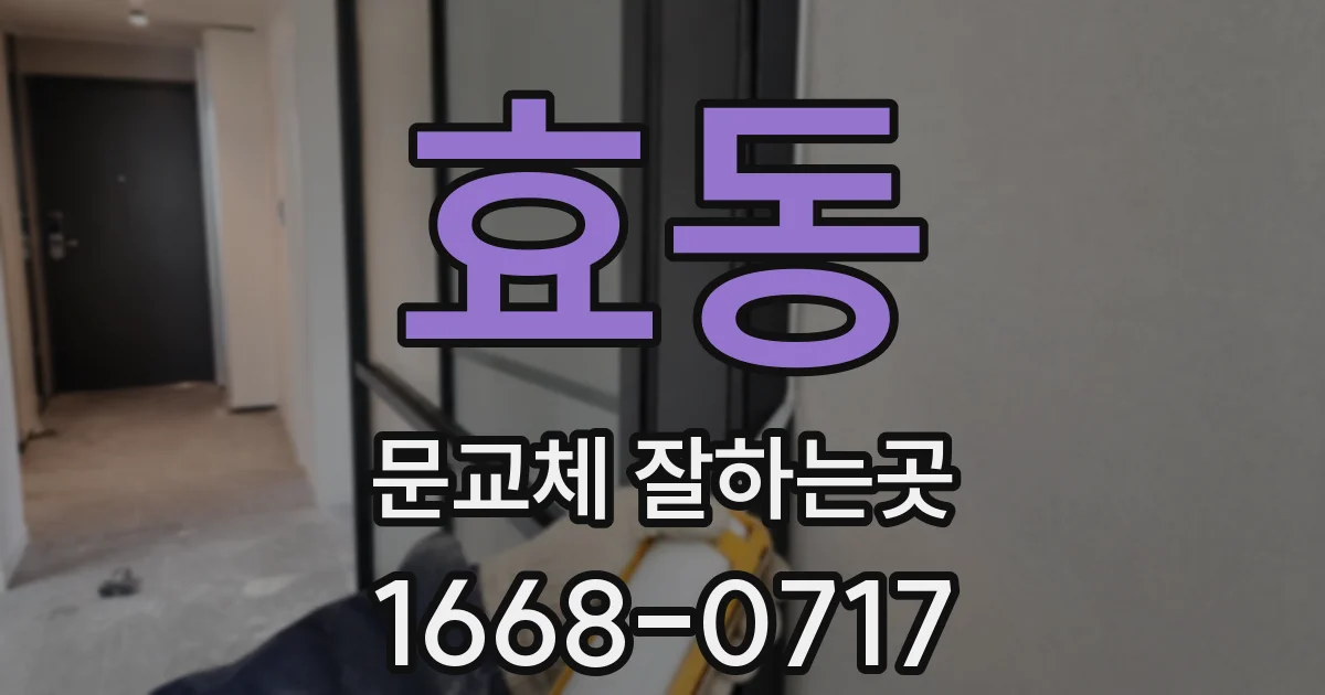 효동 문교체 잘하는곳