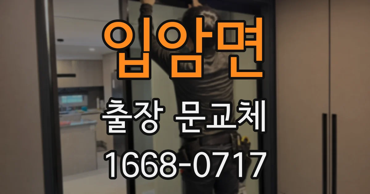입암면 출장 문교체