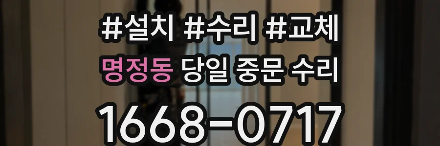 명정동 당일 중문 수리