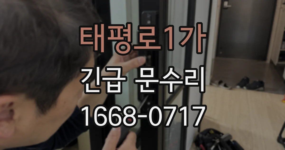 태평로1가 긴급 문수리