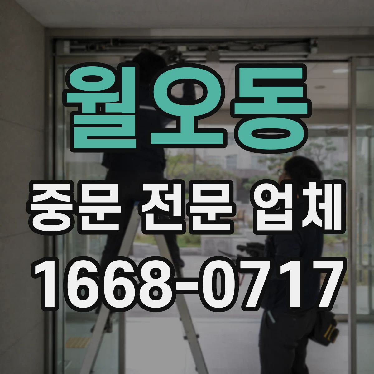 월오동 중문 전문 업체