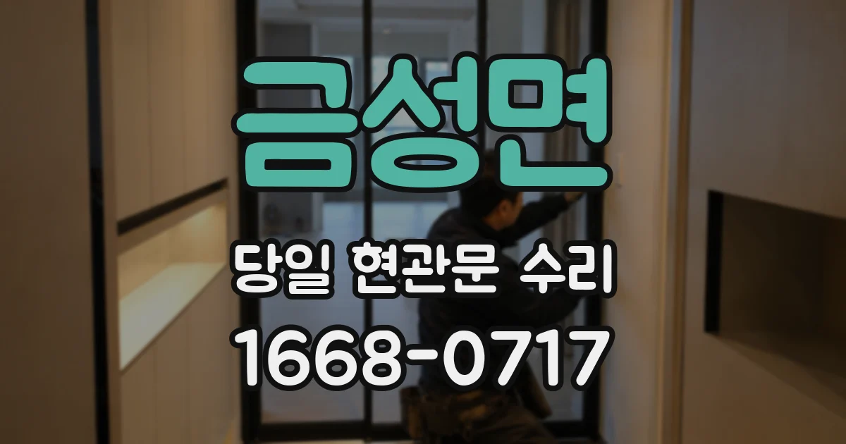 금성면 당일 현관문 수리