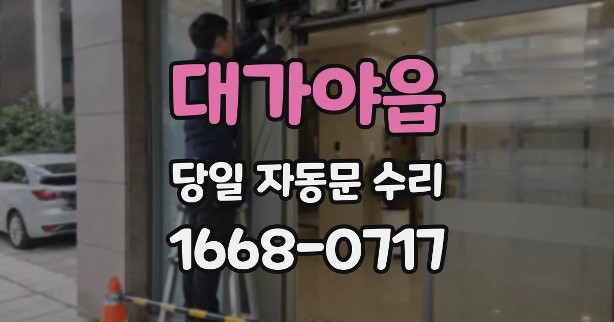 대가야읍 당일 자동문 수리