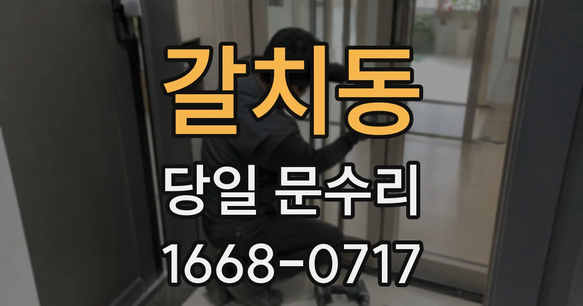 갈치동 당일 문수리