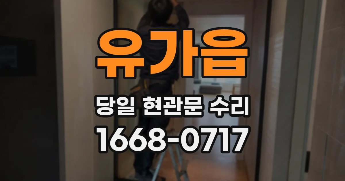 유가읍 당일 현관문 수리