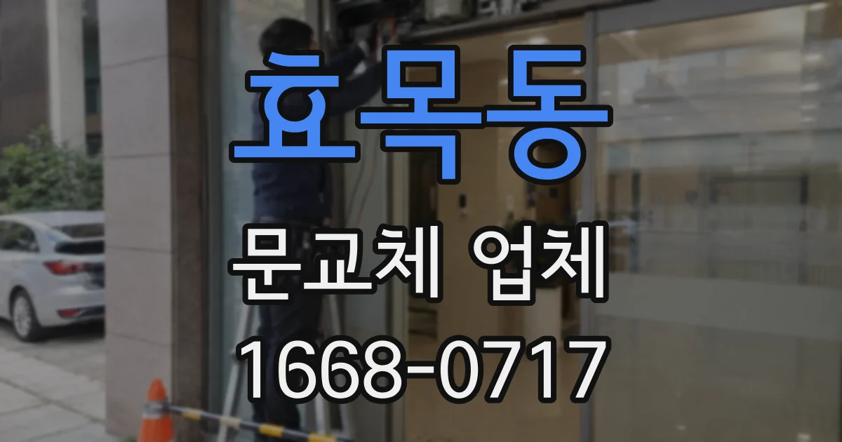 효목동 문교체 업체