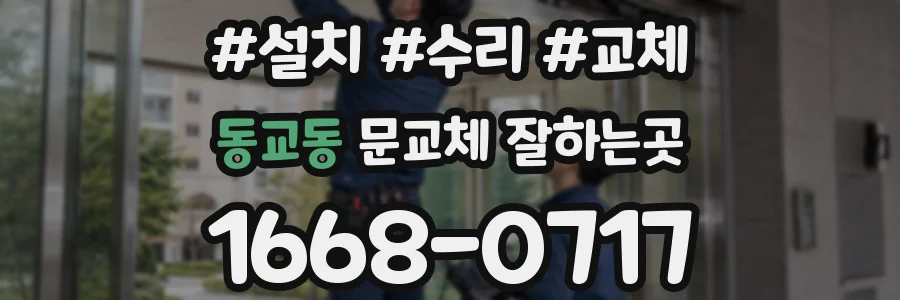 동교동 문교체 잘하는곳