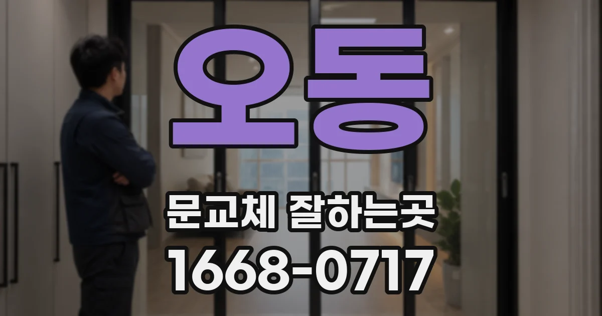 오동 문교체 잘하는곳