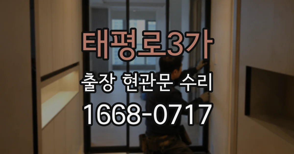 태평로3가 출장 현관문 수리