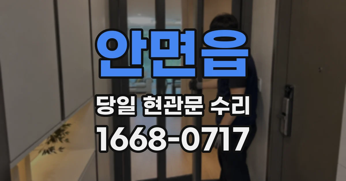안면읍 당일 현관문 수리
