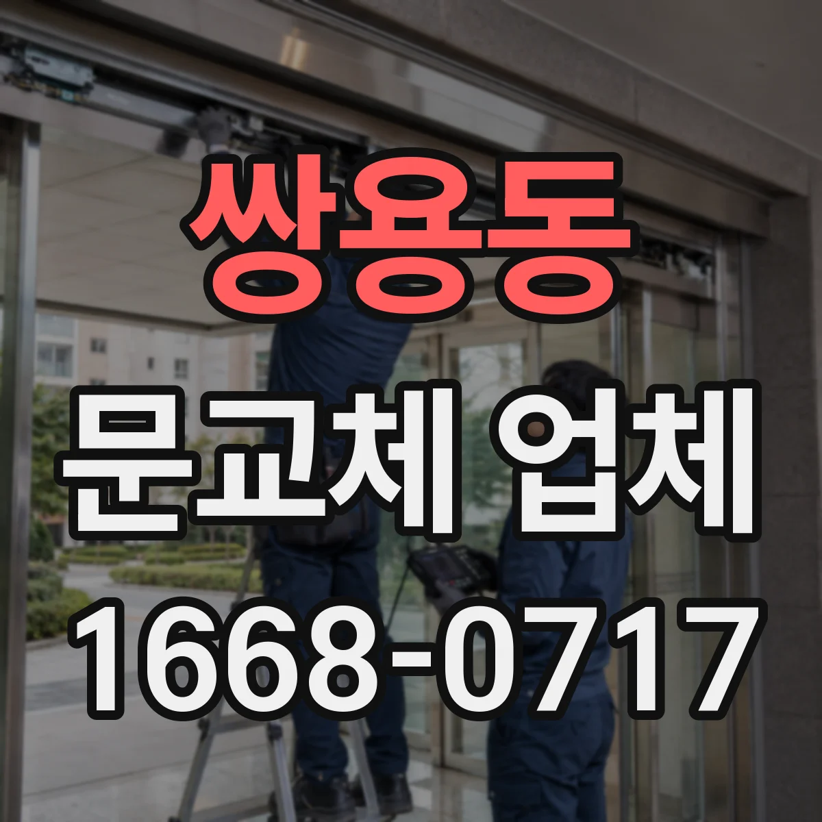 쌍용동 문교체 업체