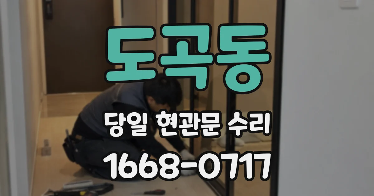 도곡동 당일 현관문 수리