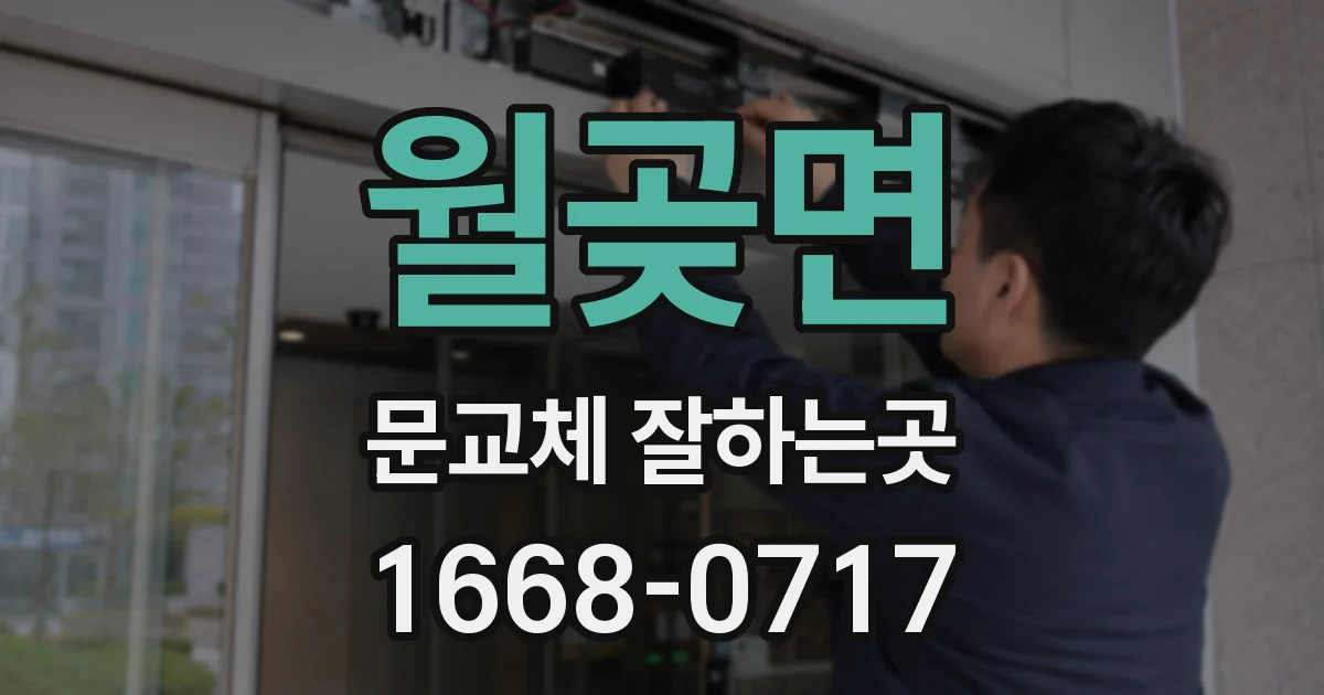 월곶면 문교체 잘하는곳