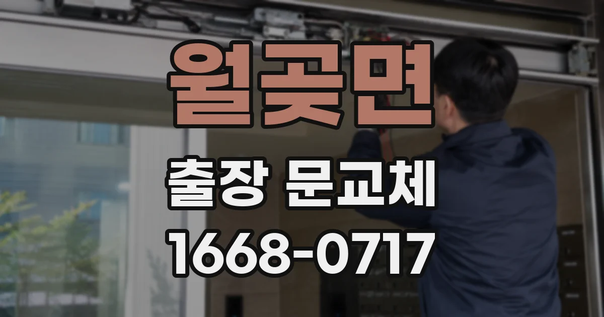 월곶면 출장 문교체