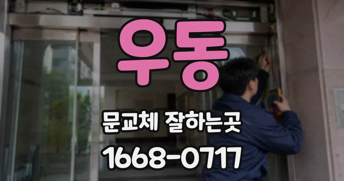 우동 문교체 잘하는곳
