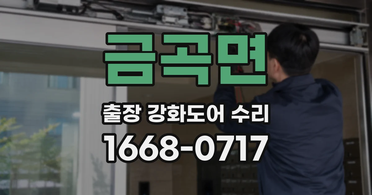 금곡면 출장 강화도어 수리