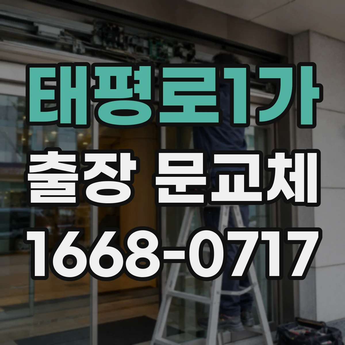 태평로1가 출장 문교체
