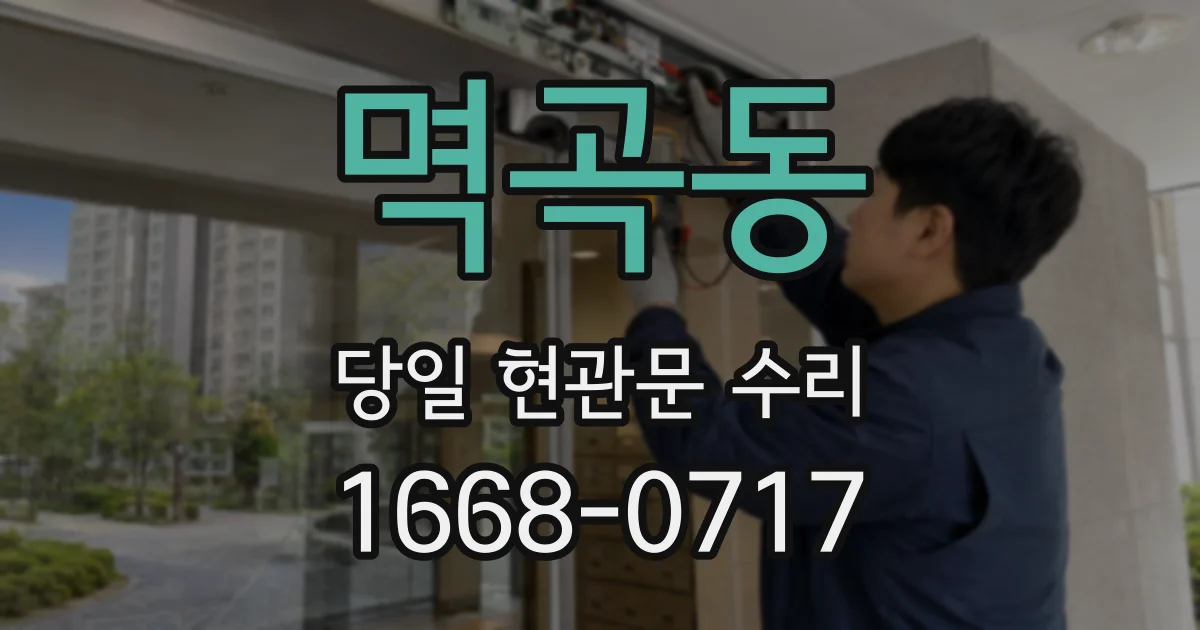 멱곡동 당일 현관문 수리