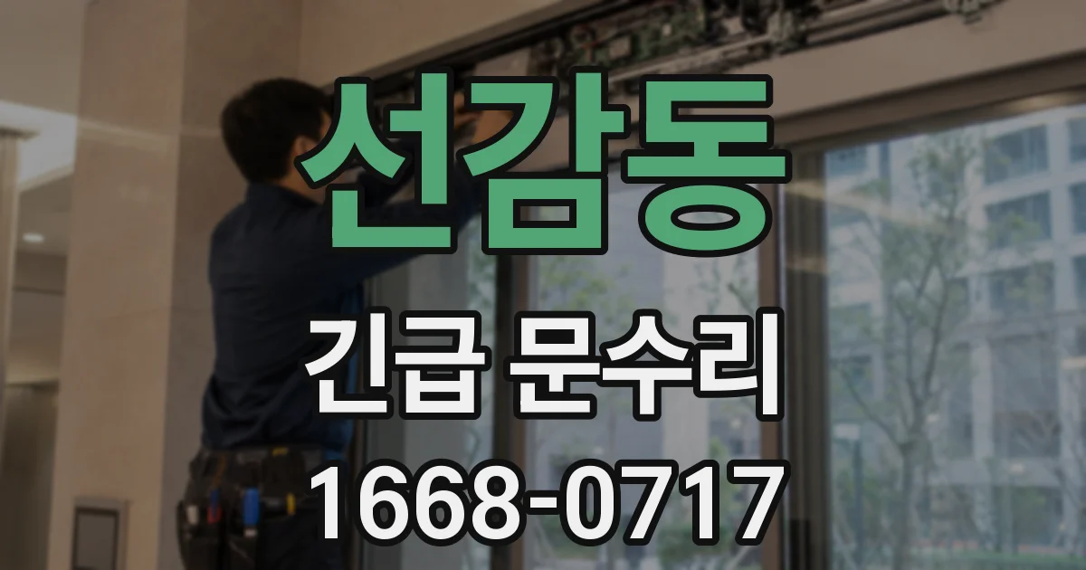 선감동 긴급 문수리