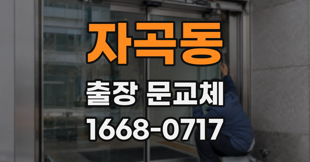자곡동 출장 문교체