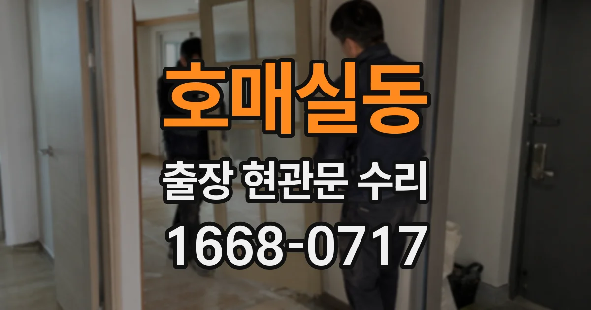 호매실동 출장 현관문 수리