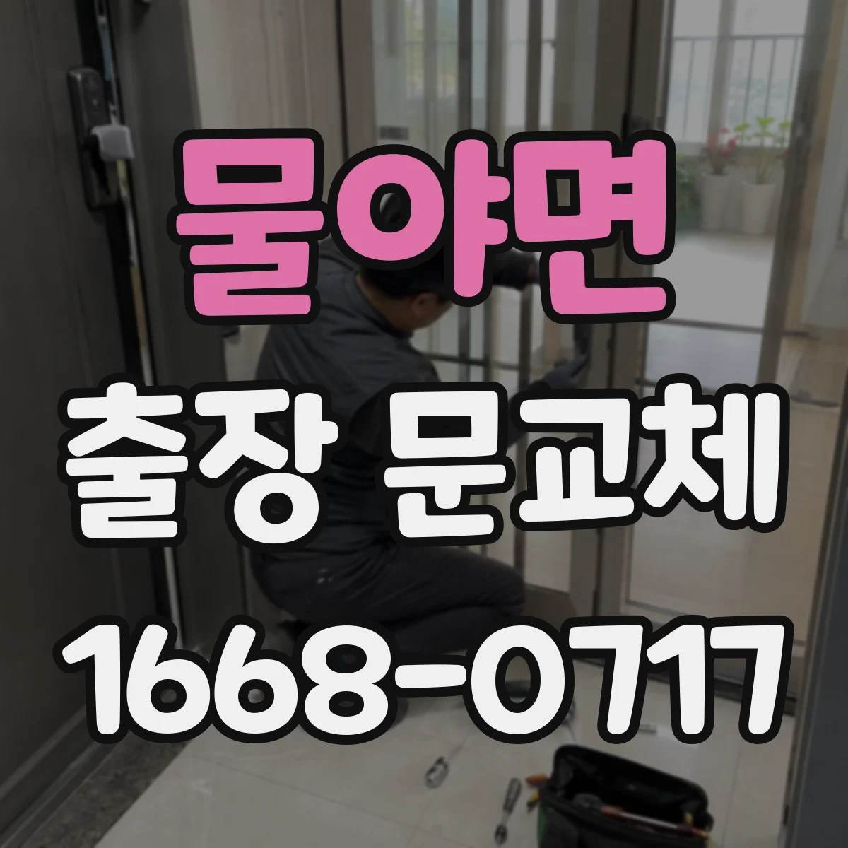 물야면 출장 문교체