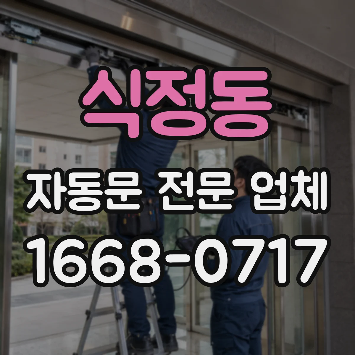 식정동 자동문 전문 업체