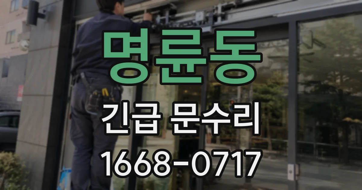 명륜동 긴급 문수리