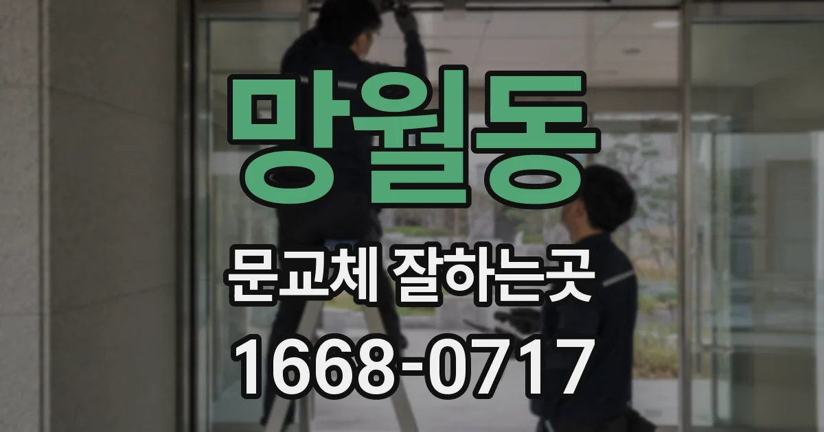 망월동 문교체 잘하는곳